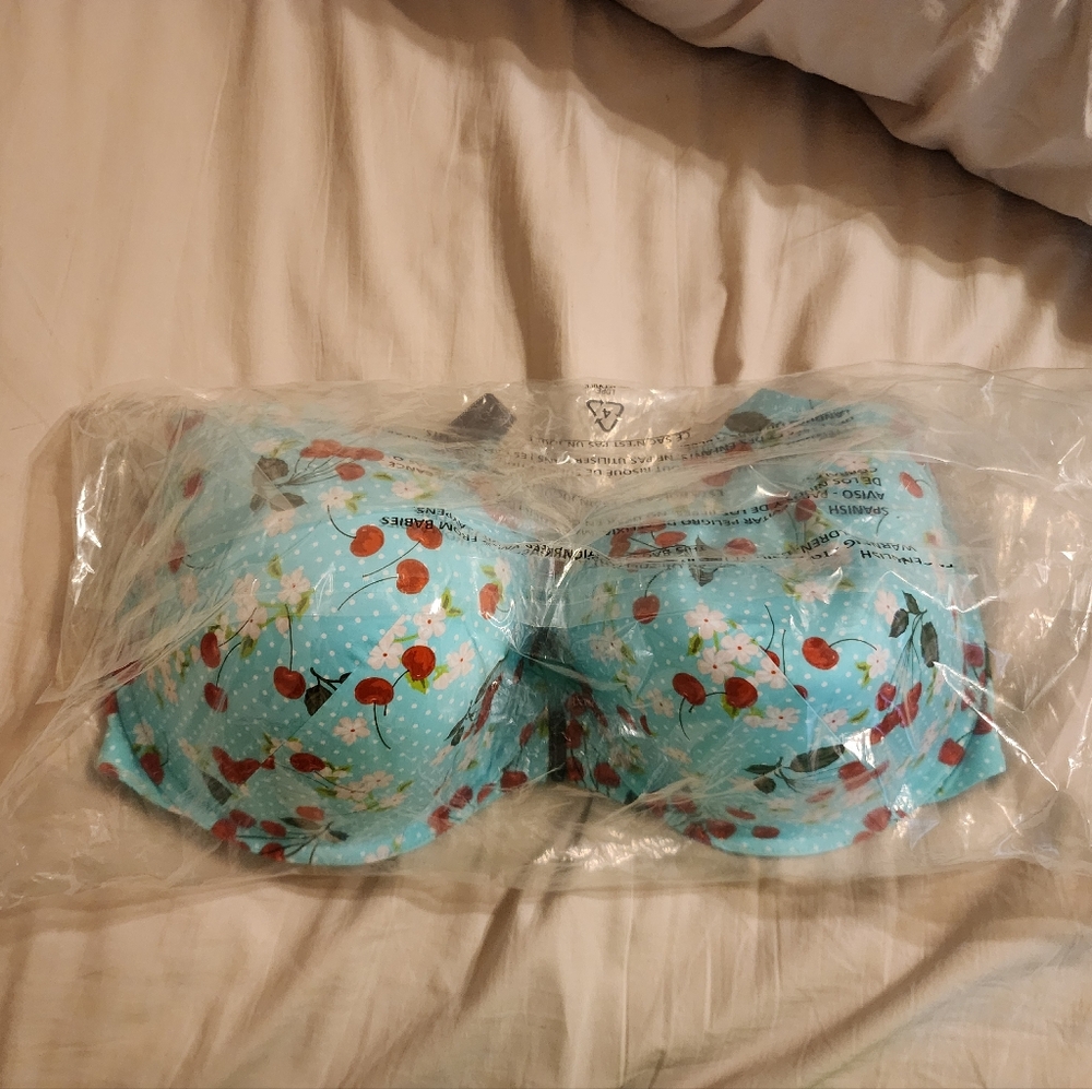 Torrid Perfect T-Shirt Front-Close Bra with matching panties.